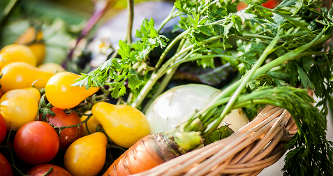 Various vegetables in a basket