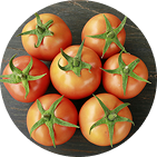Sungold Tomatoes